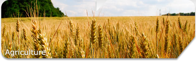 Agricultura